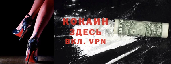 прущие грибы Балабаново