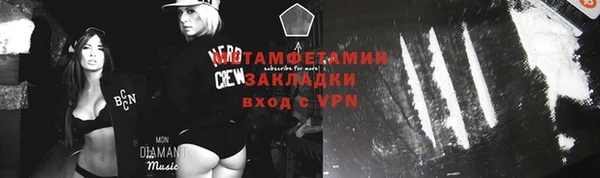 прущие грибы Балабаново