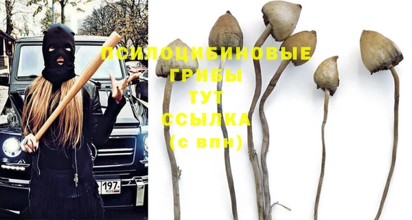 прущие грибы Балабаново