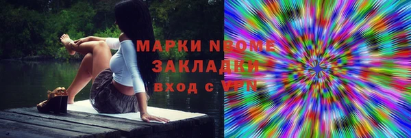 прущие грибы Балабаново