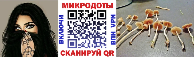 Псилоцибиновые грибы мицелий Корсаков